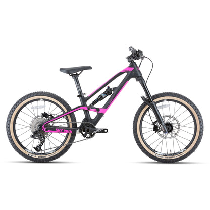 20" Master S (cadre carbone)