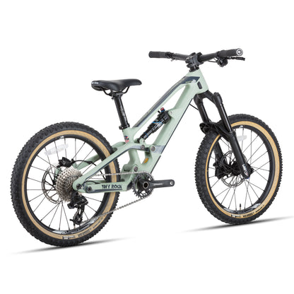 20" Master S (cadre carbone)