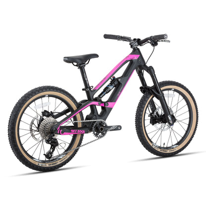 20" Master S (cadre carbone)