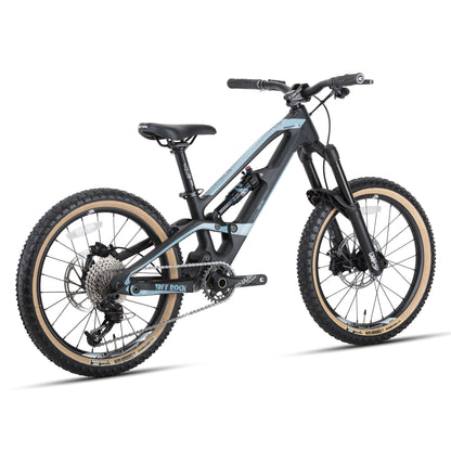 20" Master S (cadre carbone)