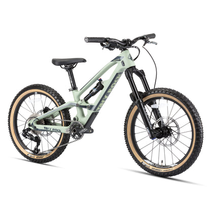 20" Master S (cadre carbone)