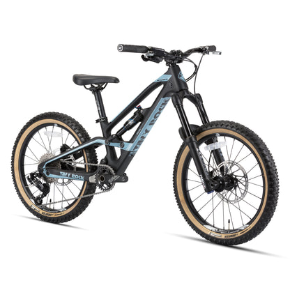 20" Master S (cadre carbone)
