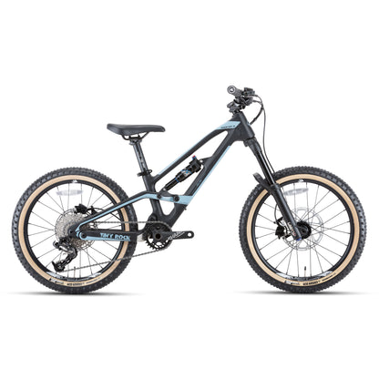 20" Master S (cadre carbone)