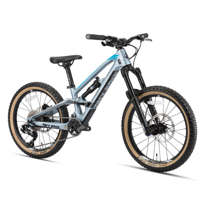 20" Master S (cadre carbone)